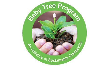 Baby Tree Program Logo