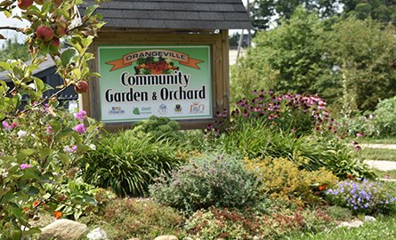 Community Garden & Orchard
